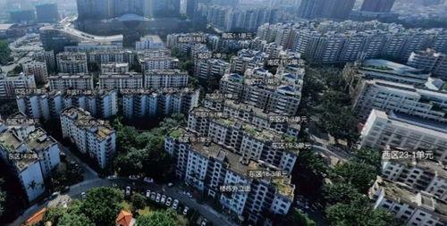 深圳龙岗最新网友爆料,突发事件引发热议，详情揭晓！